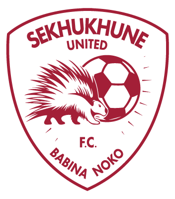 Carol Tshabalala has not acquired shared in Sekhukhune United, says club