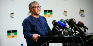 Fikile Mbalula