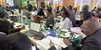 ‘Agricultural sector must lead transformation agenda’