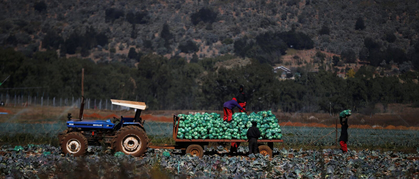 Police accused of protecting farmer suspected of lynching farm dweller