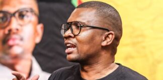 ANC Youth League president put on suspension by secretary-general