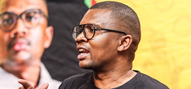 ANC Youth League president put on suspension by secretary-general