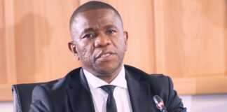 KwaZulu-Natal Police Commissioner Lieutenant General Nhlanhla Mkhwanazi takes the stand for the third day at the Madlanga Commission, laying bare allegations of corruption, political meddling, and systemic failures in South Africa’s criminal justice system. His testimony paints a picture of a law enforcement system under immense pressure.