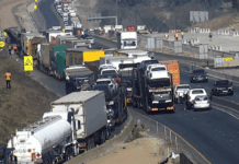 Government and proper consulting