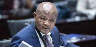 Mathale throws Mchunu under the bus