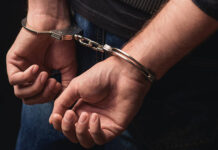 Hundreds arrested at border posts