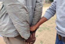 Â Man arrested after girlfriend stabbed to death in Free State farm Bogus prophet arrested for rape and robbery cases