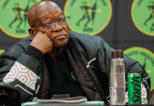Jacob Zuma suffers another court setback in a week in bid to remove Billy Downer Motion of no confidence in Thami Ntuli