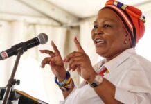 MEC Mbali Shinga fights second ouster attempt, warns of NFP self-destruction NFP leader and MEC of Socia Development Mbali Shinga preaches unity at the party after attempts to remove her from her job failed
