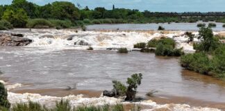 Heavy rain and storm batter Mpumalanga