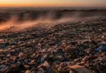 Food waste in South Africa