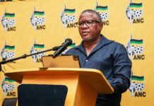 Fikile Mbalula blasts Rob Hersov, druggies & drunkards speaking ill of SA