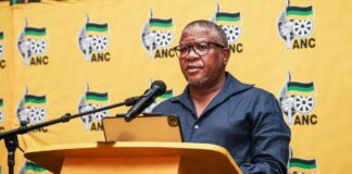 Fikile Mbalula blasts Rob Hersov, druggies & drunkards speaking ill of SA