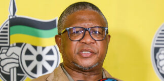 ANC Gauteng holds fire on Joburg conference fallout