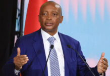 Govt spin doctor steers PM27 ANC lobby