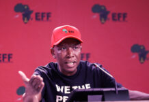 Malema defends Dunga