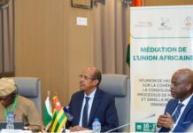 African-led mediation: When theory meets reality African Union