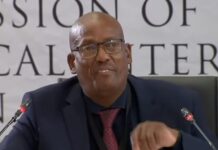 Police captain dismisses links between Armand Swart’s case to other murders Madlanga commission continues