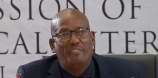 Police captain dismisses links between Armand Swart’s case to other murders Madlanga commission continues