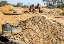 Lehohla Ledger: siphoning of Eastern Cape’s human vitality is structural Lehohla Ledger: siphoning of Eastern Cape's human vitality is structural