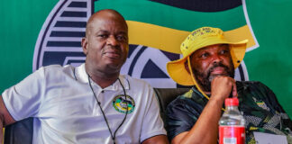 NEC members broker secret unity push between Maloyi and Mokgosi