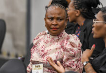 Parly boss’ romantic link with Public Protector raises eyebrows