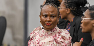 Parly boss’ romantic link with Public Protector raises eyebrows