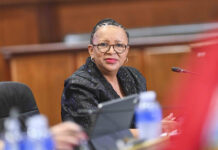 Premier defends fraudster’s appointment