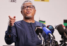 Mbalula plot to disband rebellious KZN task team Mbalula