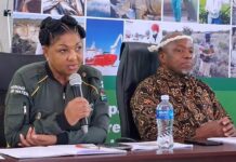 ANC bigwig Bernice Swarts apologises for ‘one family, one loaf’ gaffe