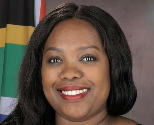 ActionSA vows to crack the whip