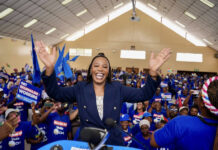 DA bets on Rasilingwane to break into township vote