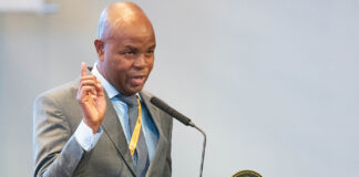 Beleaguered Mpumalanga HOD pleads with premier not to charge him