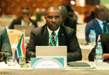 New SARS boss Makhubu urged to strike shadow economy harder