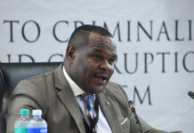 Madlanga interpretation lapses expose larger judiciary challenge