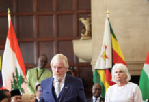 US ambassador’s critique of BEE undermines SA’s sovereignty