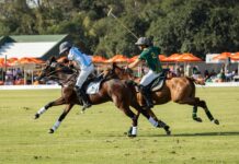 Nedbank International Polo is back