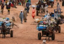 Deadly meningitis spreads as Sudanese refugees pack Chad camps, MSF says