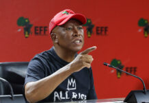 EFF hits back at Helen Suzman Foundation’s court bid on Julius Malema’s JSC seat