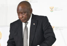 How many Phala Phala dollars can a Constitution booklet hide?