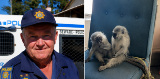 Hero cop praised for saving ‘cute’ monkeys from illegal traders