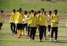 Amajimbos eye World Cup