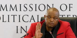 Brown Mogotsi not linked to murder despite gun ties, say police Brown Mogotsi