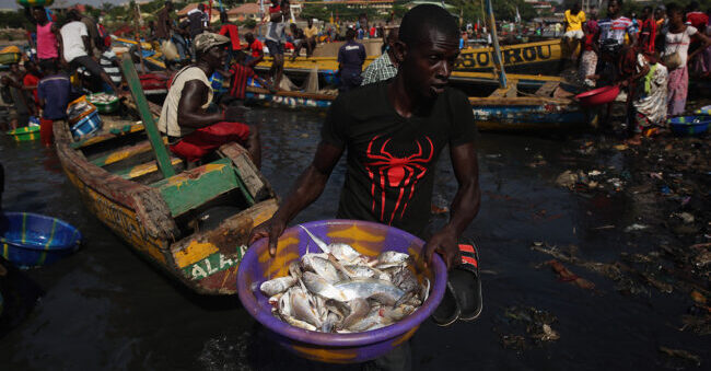 African nations push fisheries transparency at global summit