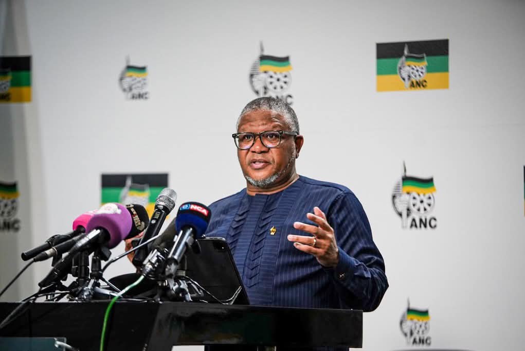 Fikile Mbalula: Courts encroaching on ANC internal affairs