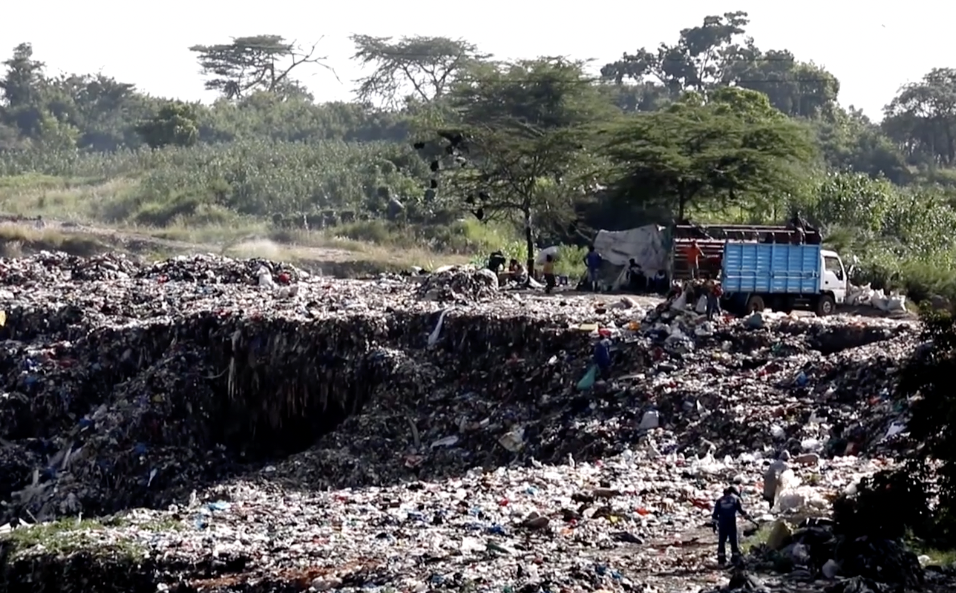 Kenyan entrepreneur turns plastic waste into durable fencing poles