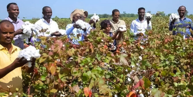 Can Ethiopia weave Africa's complete cotton-to-clothing value chain?