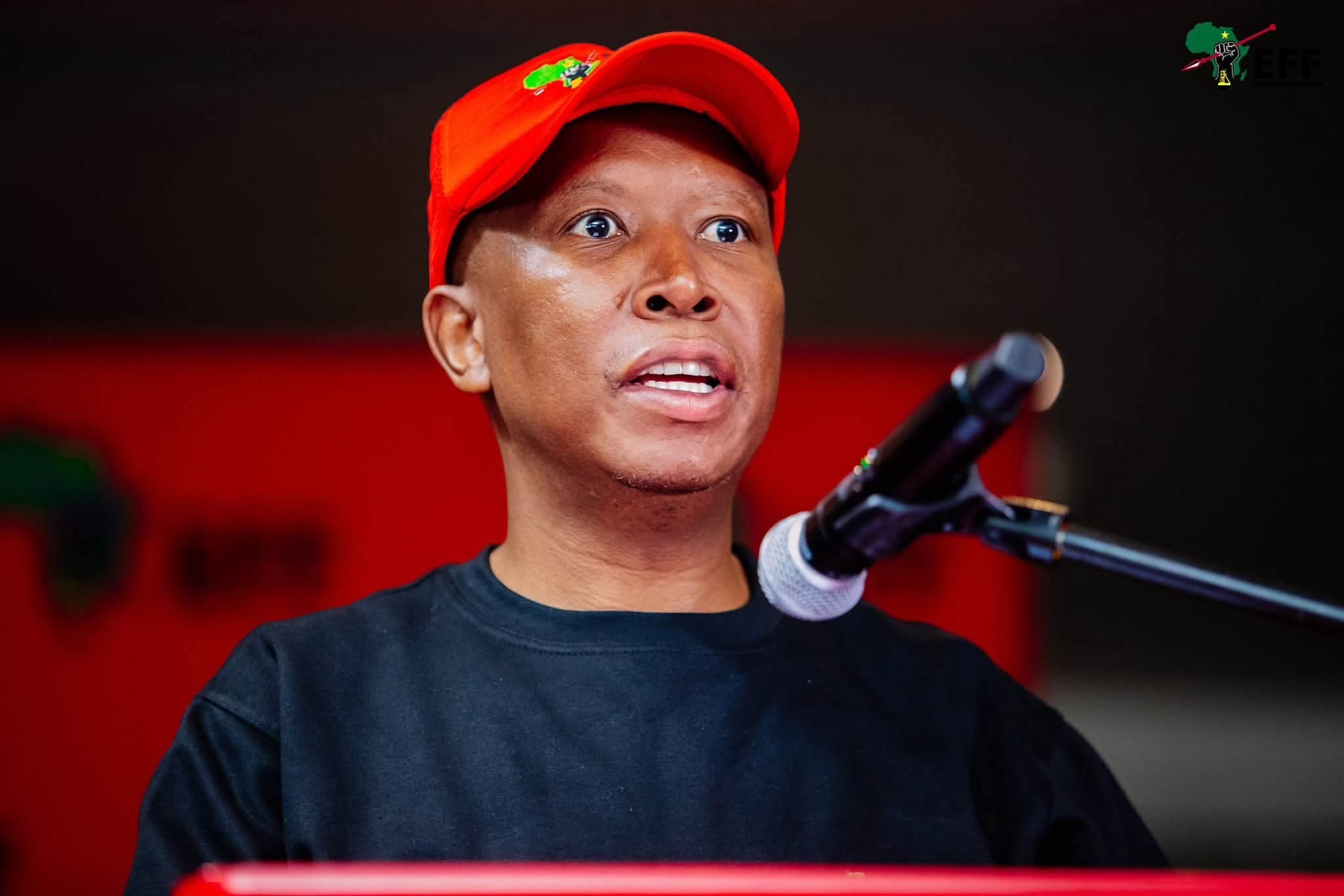In case you missed it | Julius Malema in his element