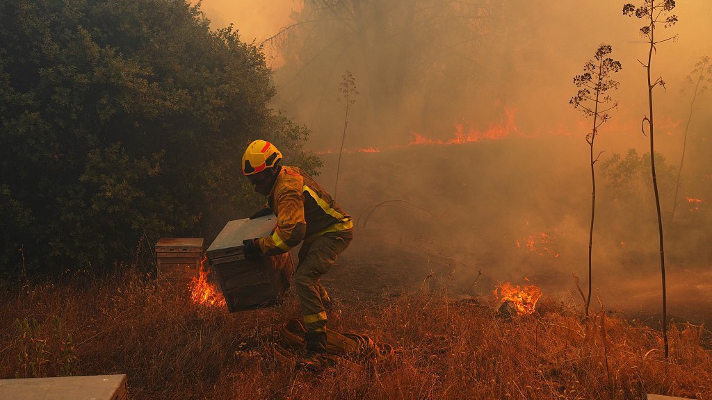 Wildfires across Europe leave deaths, destruction