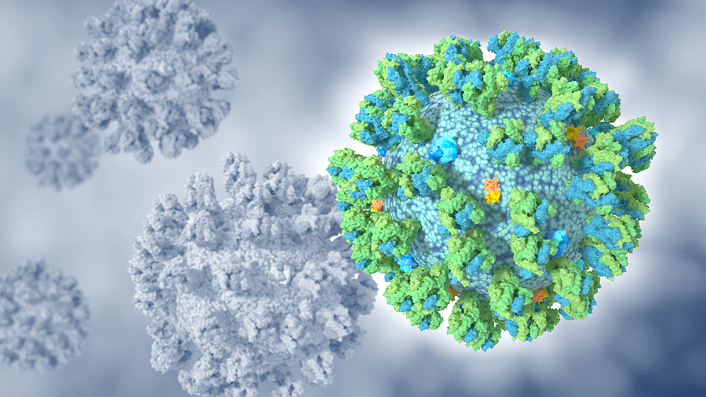 Debates on regulation arise after AI designs working viruses in lab